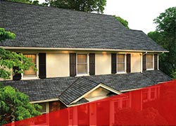 Delta Roofing  Images 
