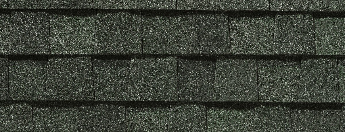 Delta Roofing  Images