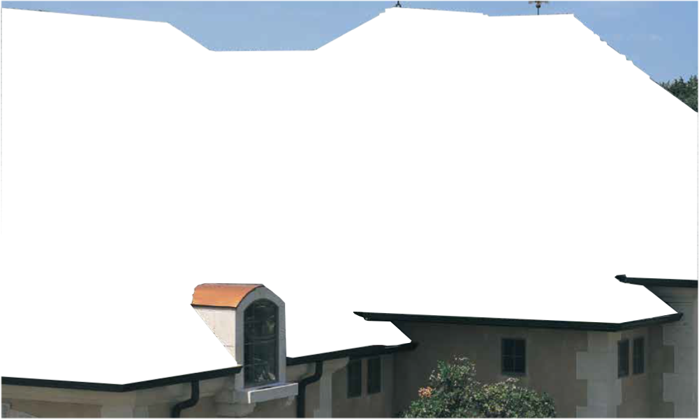 Delta Roofing  Images
