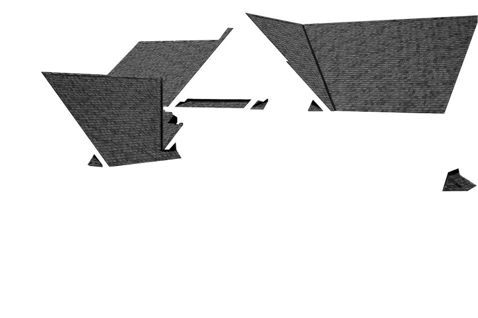 Delta Roofing Images