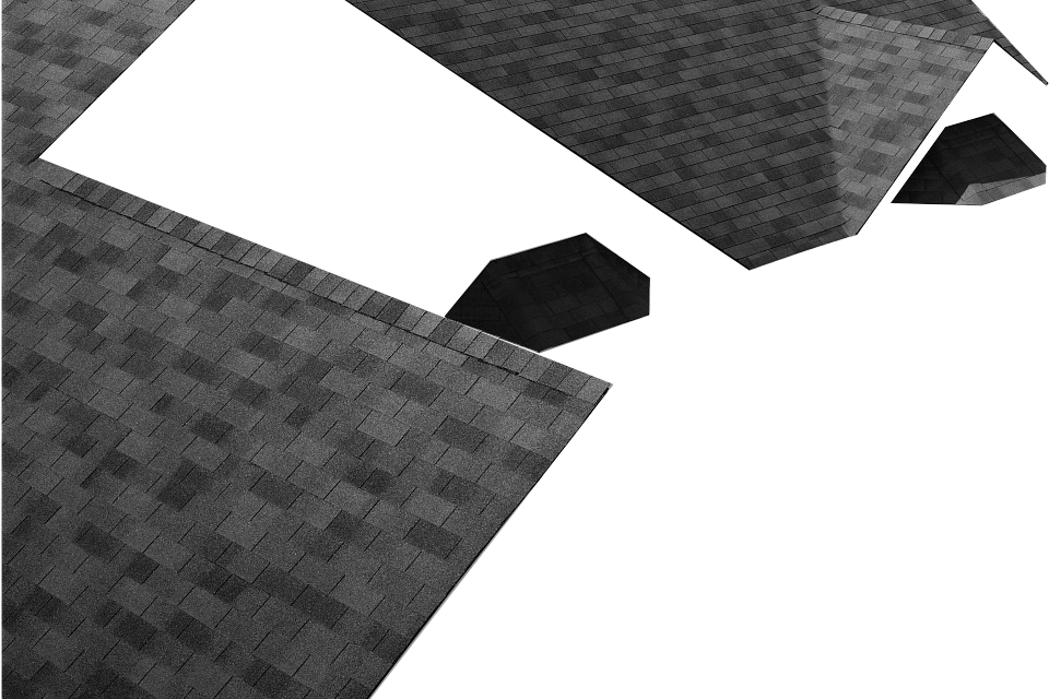 Delta Roofing Images