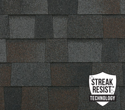 Delta Roofing  Images