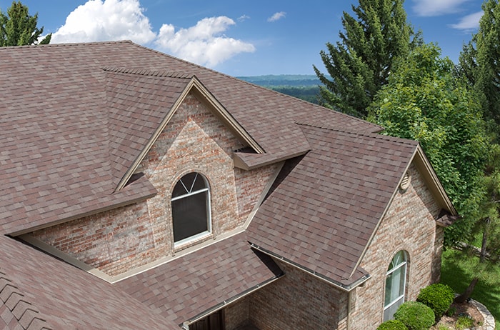 Delta Roofing  Images