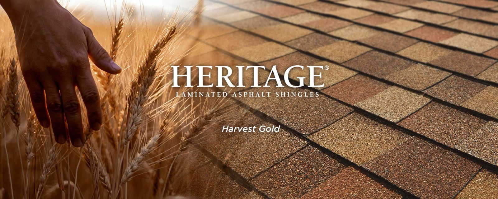 Delta Roofing Images
