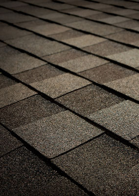 Delta Roofing Images