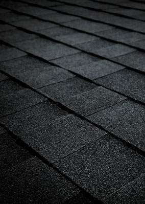 Delta Roofing Images