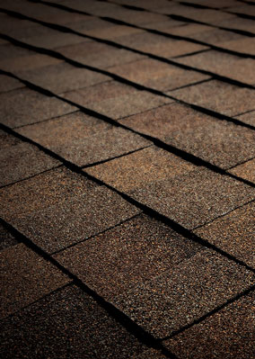 Delta Roofing Images