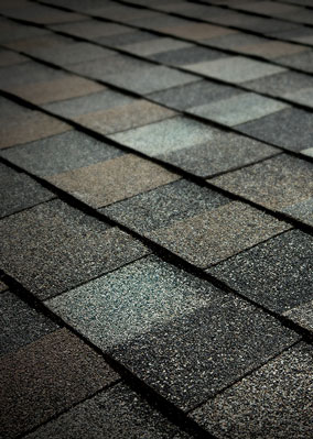 Delta Roofing Images