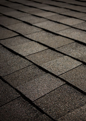 Delta Roofing Images