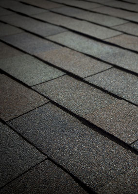 Delta Roofing  Images