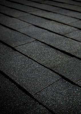 Delta Roofing  Images