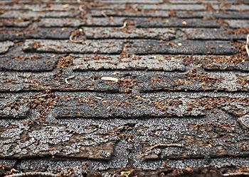 Delta Roofing Images